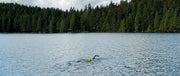 How FORM Gets Ready for Open Water Season